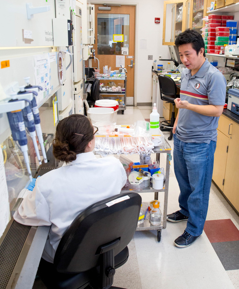 Professor Hengli Tang confers with his graduate student and co-author Sarah Ogden about the next steps in their Zika virus research in Tang’s lab at Florida State University in Tallahassee, Fla. Tang is a lead author of a lab study that found the Zika virus infects embryonic cells that help form the brain, adding to evidence that Zika causes a serious birth defect.