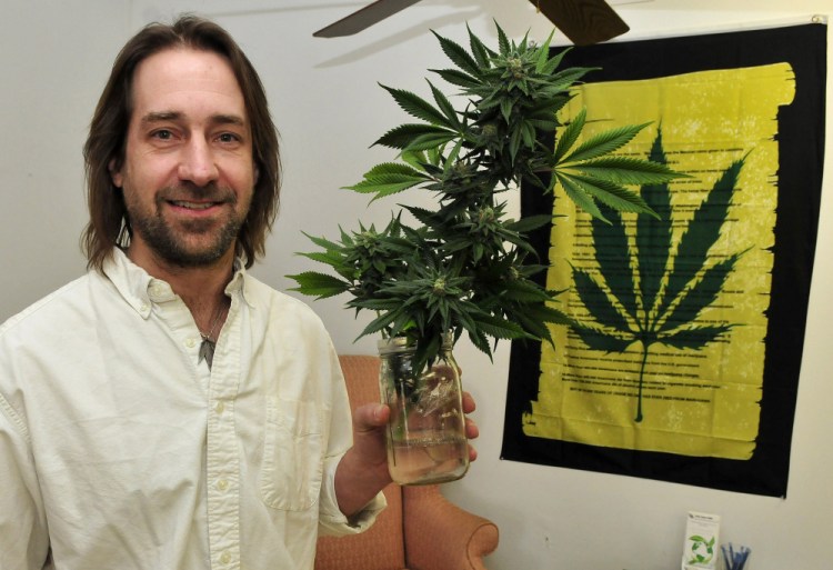Dawson Julia, shown Thursday at his East Coast CBDs medical marijuana business in Unity, holds a section of a bud-filled marijuana plant grown there.