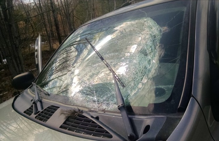 The windshield of a Chevy Trailblazer was destroyed Wednesday morning in a collision with a turkey on Interstate 95 in Pittsfield. There are usually several such accidents this time of year, when turkeys are breeding and start to spread out, a state biologist said.