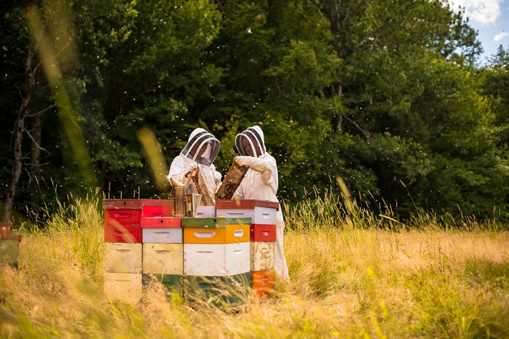 Abby Sennett, left, and Sophia Lindsay, both of Albion, check the bee hives.