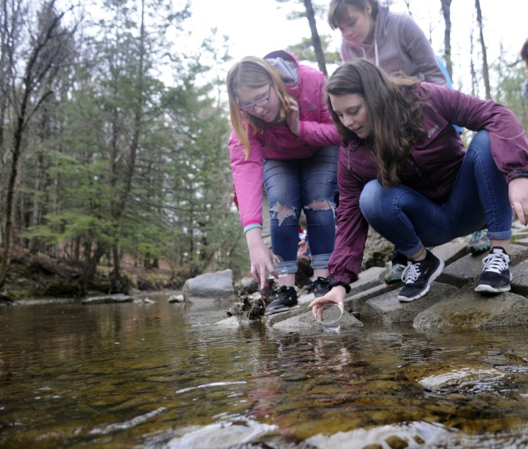 Messalonskee High School students Serena Collins, right, Elizabeth Newman, center, and Mariah Bernard release Atlantic salmon alevin on Monday into Bond Brook in Augusta.