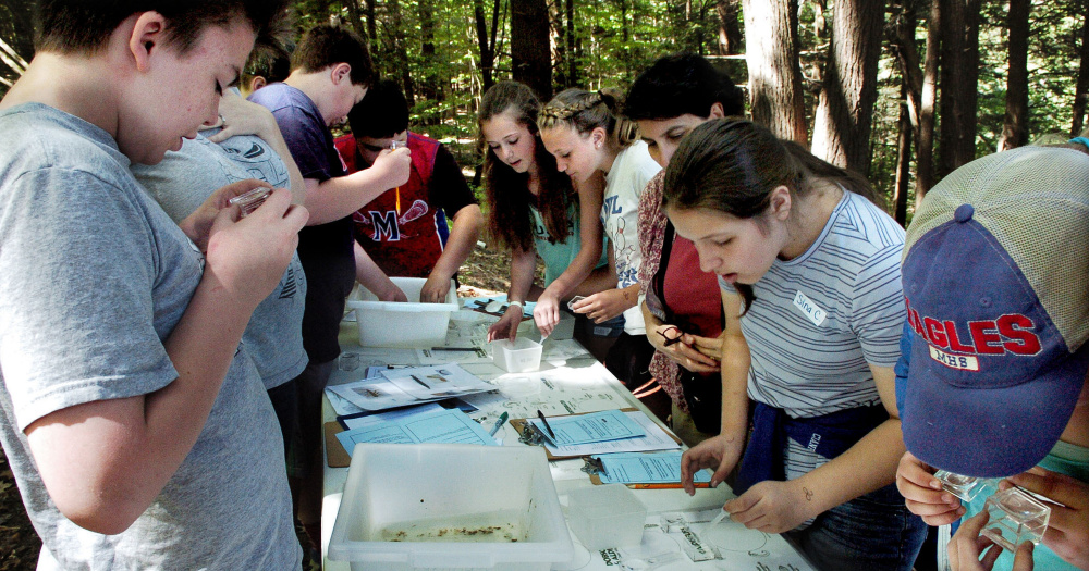 Students from Messalonskee Middle School look closely at invertebrates collected in Messalonskee Stream in Oakland on Thursday.