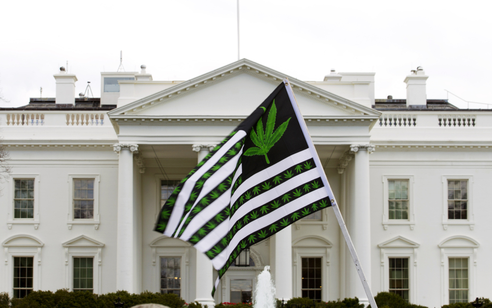 A demonstrator waves a flag with marijuana leaves on it during a protest calling for the legalization of marijuana outside the White House in Washington last month. The degree to which a driver is impaired by marijuana use depends a lot on the individual, a study concludes.