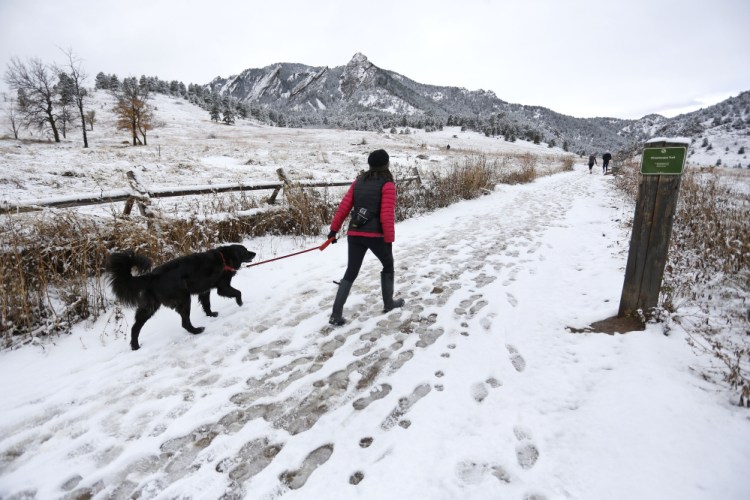 A woman walks her dog into local open space wildland at Chautauqua Park, in Boulder, Colo. Animal welfare advocates urge pet owners living at the edge of civilization to learn as much as they can about being safe and responsible neighbors to lions, coyote and bears.     The Associated Press

