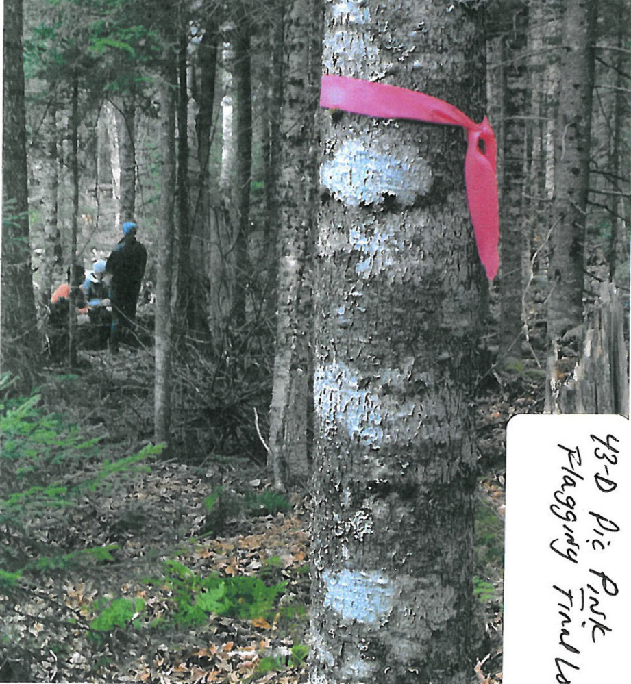 Gallery Geraldine Largay 5/26 Kennebec Journal and Morning Sentinel