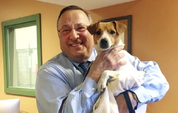 The Greater Androscoggin Humane Society posted a picture on Facebook saying Gov. Paul LePage adopted a new "first dog" and named him Veto. This comes after the death of his previous Jack Russell terrier, Baxter.