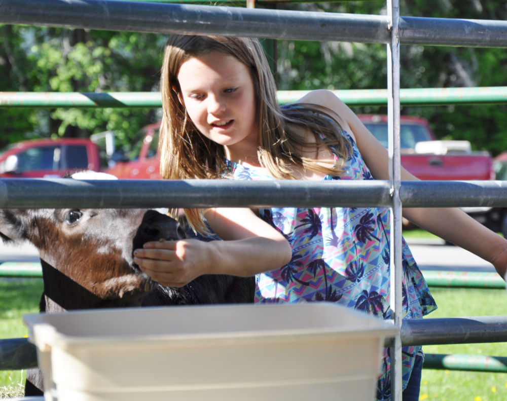 Alexis Child feeds her calf that she is raising for 4H while presenting to students Wednesday at the 10th annual Farm Days held at the Henry L. Cottrell Elementary School in Monmouth.