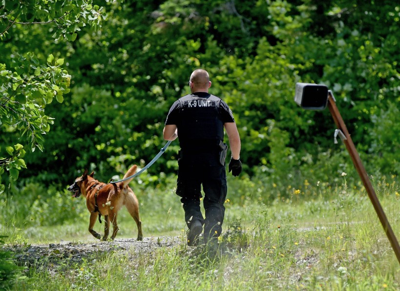 A Maine State Police tracking dog searches on Tuesday on Loom Road in Kingsbury Plantation for inmate Jonathan Edman, who authorities said ran away from a work detail before being apprehended a few hours later.
