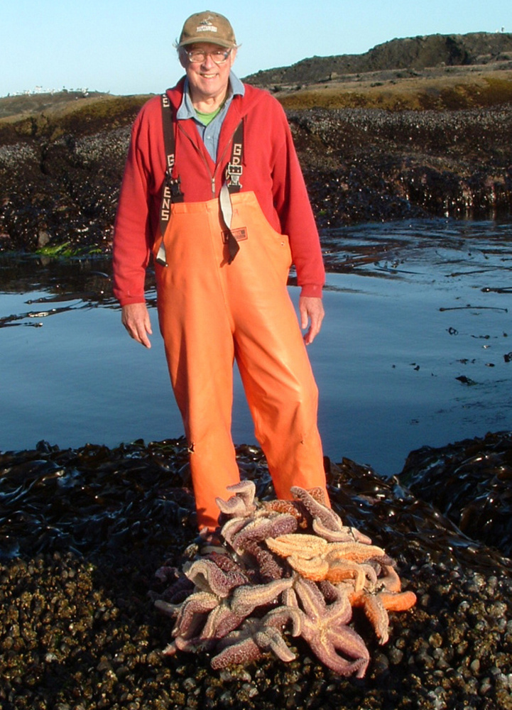 Robert "Bob" Paine's work with starfish along the coast of Washington state led to understanding of the significance of the ecological impact of a single species. He was regarded as one of the most significant ecologists of his time.