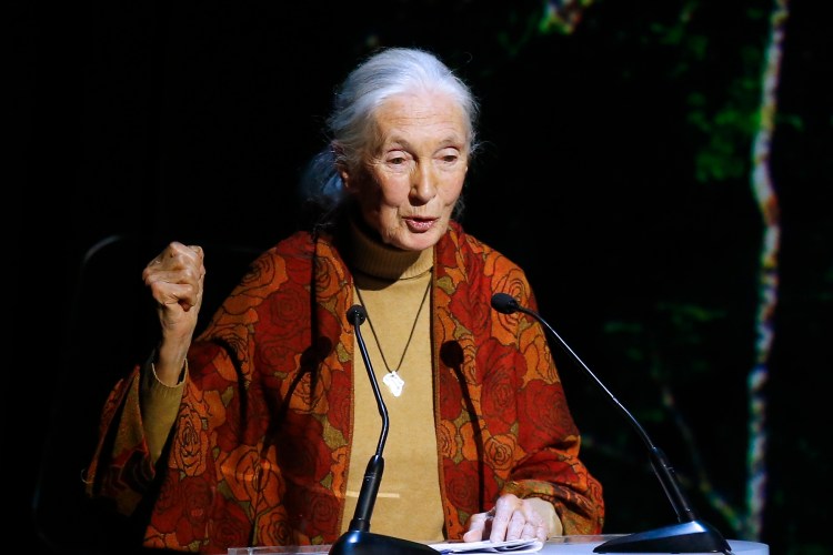 Primatologist and conservationist Jane Goodall in a 2015 photo. The Associated Press