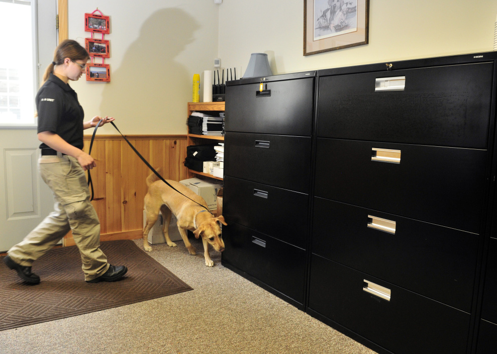 Readfieldbased detection dogs sniff out bedbugs, explosives, drugs