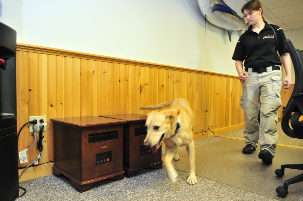 Readfieldbased detection dogs sniff out bedbugs, explosives, drugs