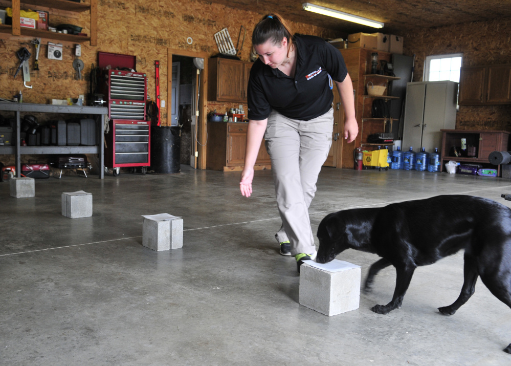 Readfieldbased detection dogs sniff out bedbugs, explosives, drugs