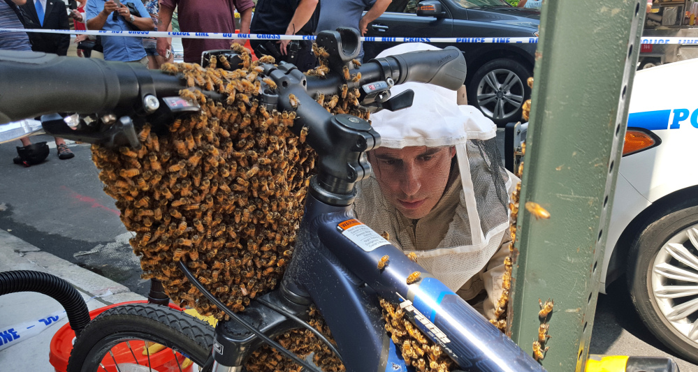 Detective Daniel Higgins begins removing bees from a bicycle parked in New York's Midtown Manhattan neighborhood. His team responds to emergency calls reporting swarms of bees that suddenly cluster in spots around the city