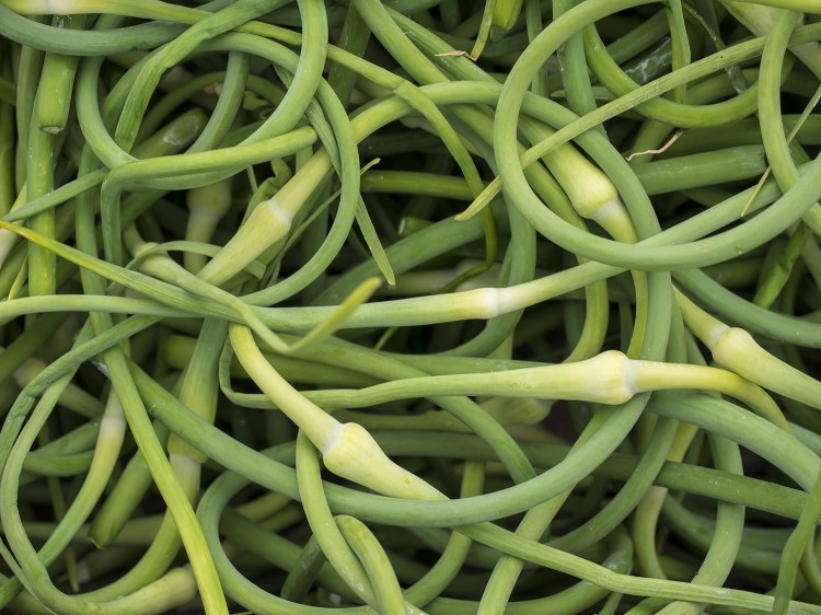 Garlic scapes are a seasonal way to add a shot of flavor to classic recipes.
