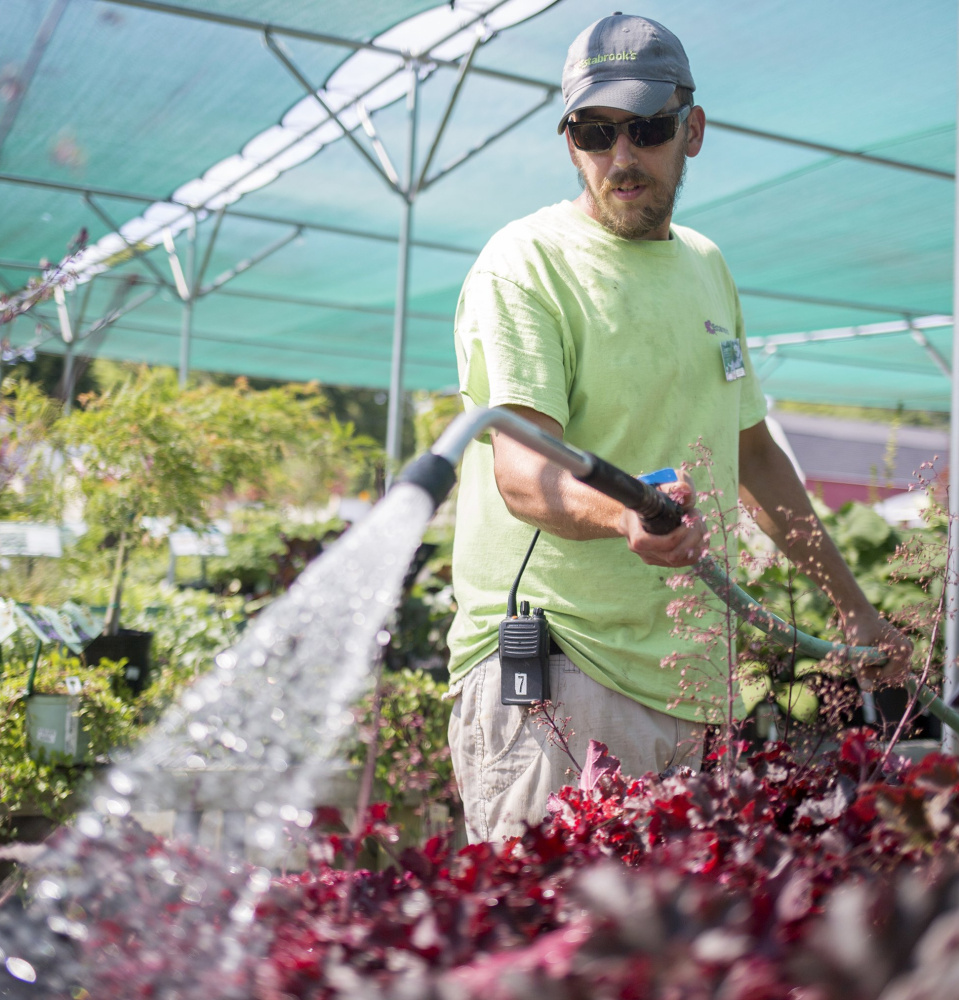 Justin Yates of Yarmouth waters plants at Estabrook's in Yarmouth. The State Drought Task Force says significant drought conditions exist.