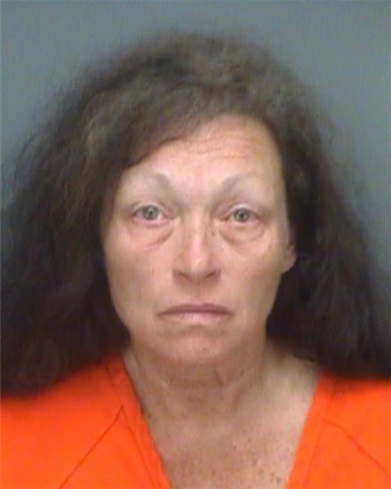 Thursday, Aug. 11, 2016, on a charge of aggravated manslaughter of a child for the death of her 13-day-old baby girl. The Pinellas County Sheriff's Office said her 6-year-old son brutally beat her infant daughter on Monday when the mother left them alone in a minivan for at least 38 minutes. (Pinellas County Sheriff's Office via AP)