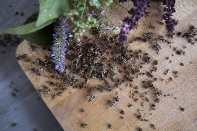 Herbs are bolting because of the heat, but there are still ways to make use of them in the kitchen. 
Brianna Soukup/Staff Photographer