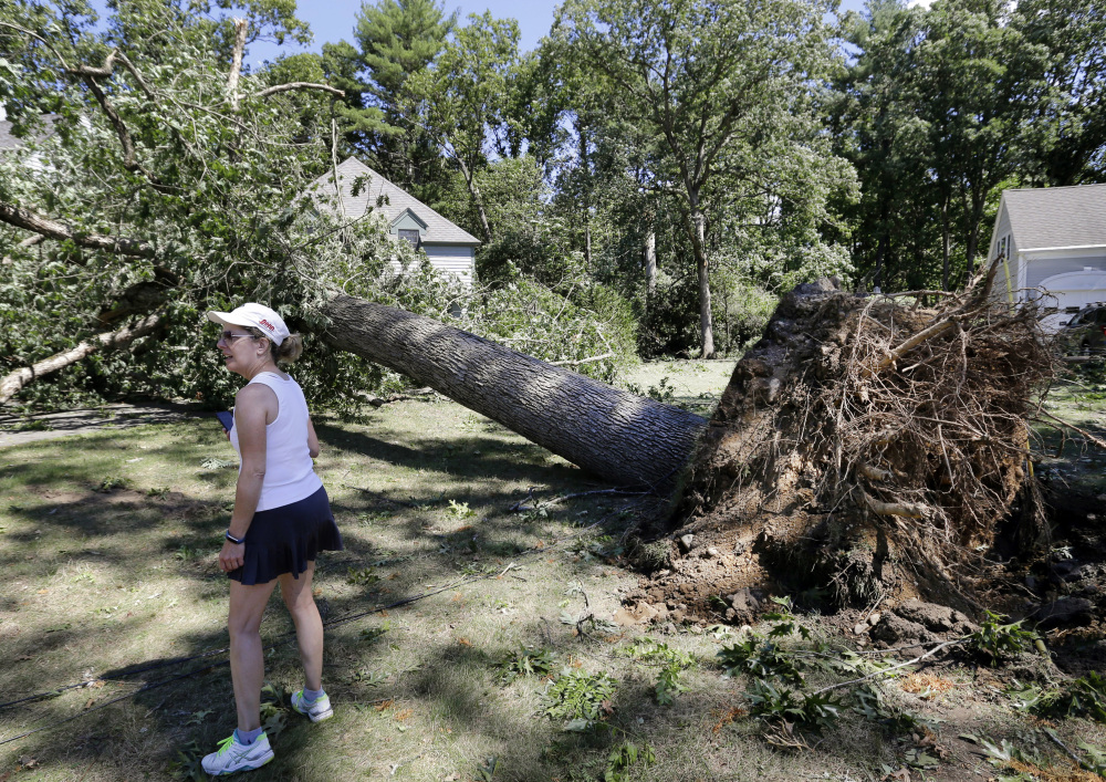 Marcia Thompson surveys damage in her neighborhood Monday in Concord, Mass. A tornado briefly touched down in the historic Massachusetts town, uprooting trees, knocking out power, and causing damage to dozens of homes. There were no reports of injuries.