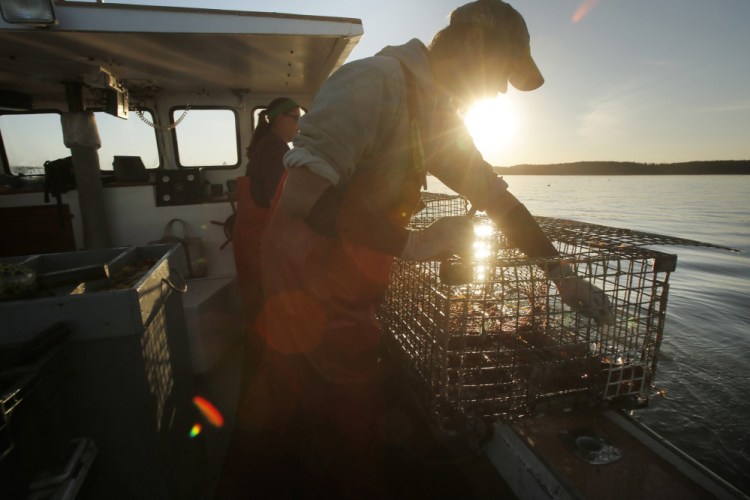 Cory McDonald fishes off the coast of Stonington last summer. Almost three of every four Zone C lobstermen who voted in a referendum this summer supported the adoption of a waiting list system for new licenses.