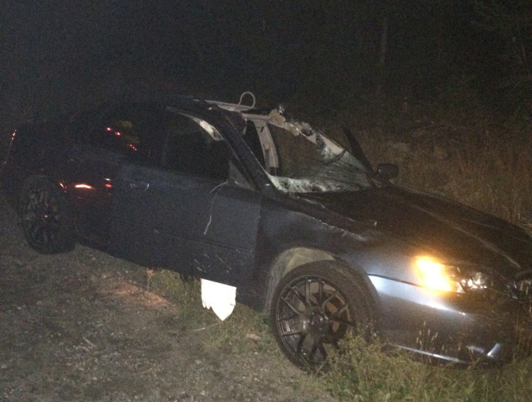 A collision with a moose destroyed a 2005 Subaru Legacy and killed the animal on U.S. Route 201 in Johnson Mountain Township Saturday night.