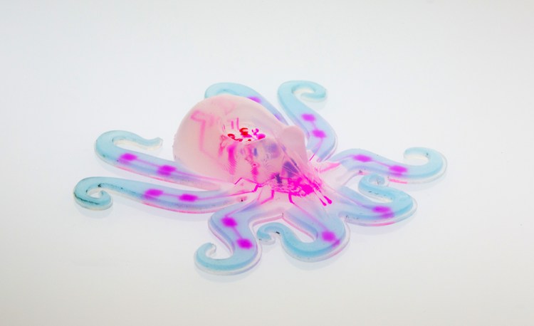 The Octobot has a pneumatic network, pink, iembedded within the its body and hyperelastic actuator arms, in light blue. Photo courtesy of Ryan Truby, Michael Wehner, and Lori Sanders, Harvard University via AP