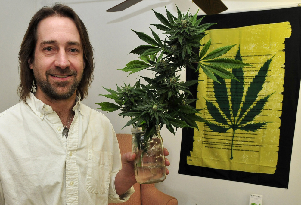 Dawson Julia of East Coast CBDs, a medical marijuana business in Unity, sought to be certified organic.
David Leaming/Morning Sentinel