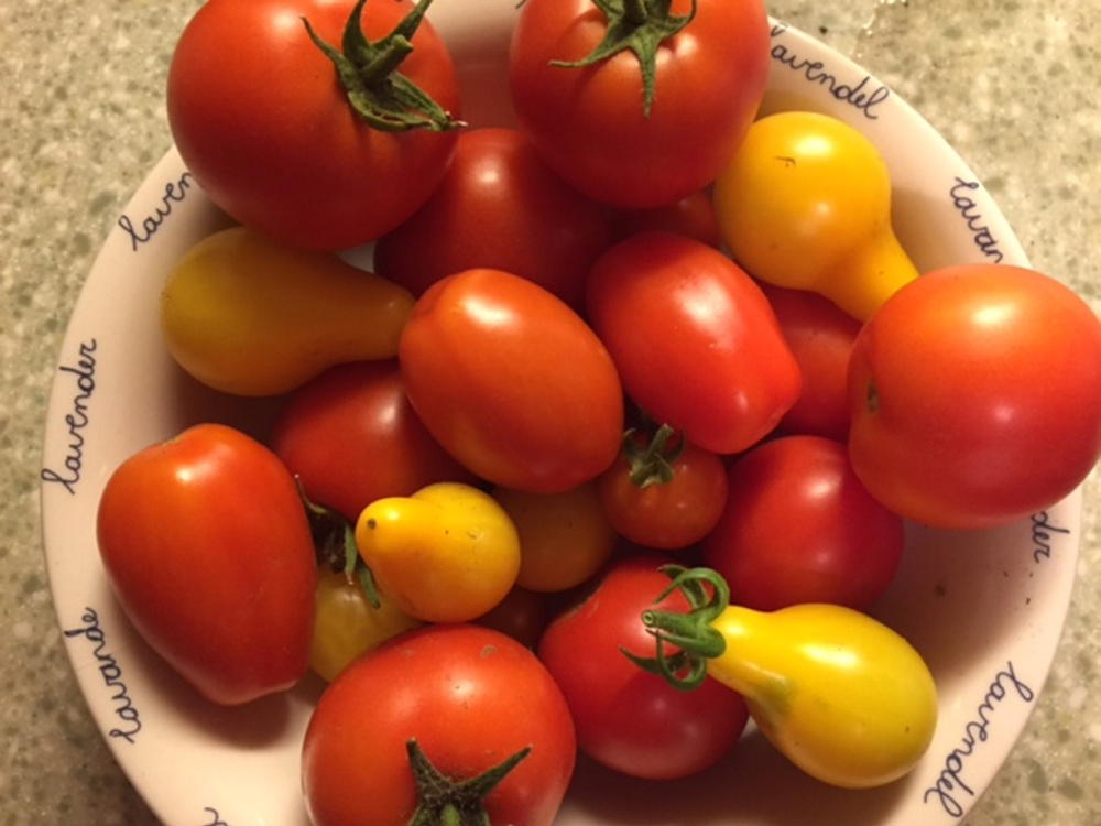 These came from the garden of a member of my boyfriend's family. He died, too soon, just two weeks before the annual family reunion. At that reunion, we picked and ate with dinner the tomatoes he'd planted just two months earlier, and I thought about what gardens reveal about their gardeners. (Thus far, my own merely reveals my lack of skill.)