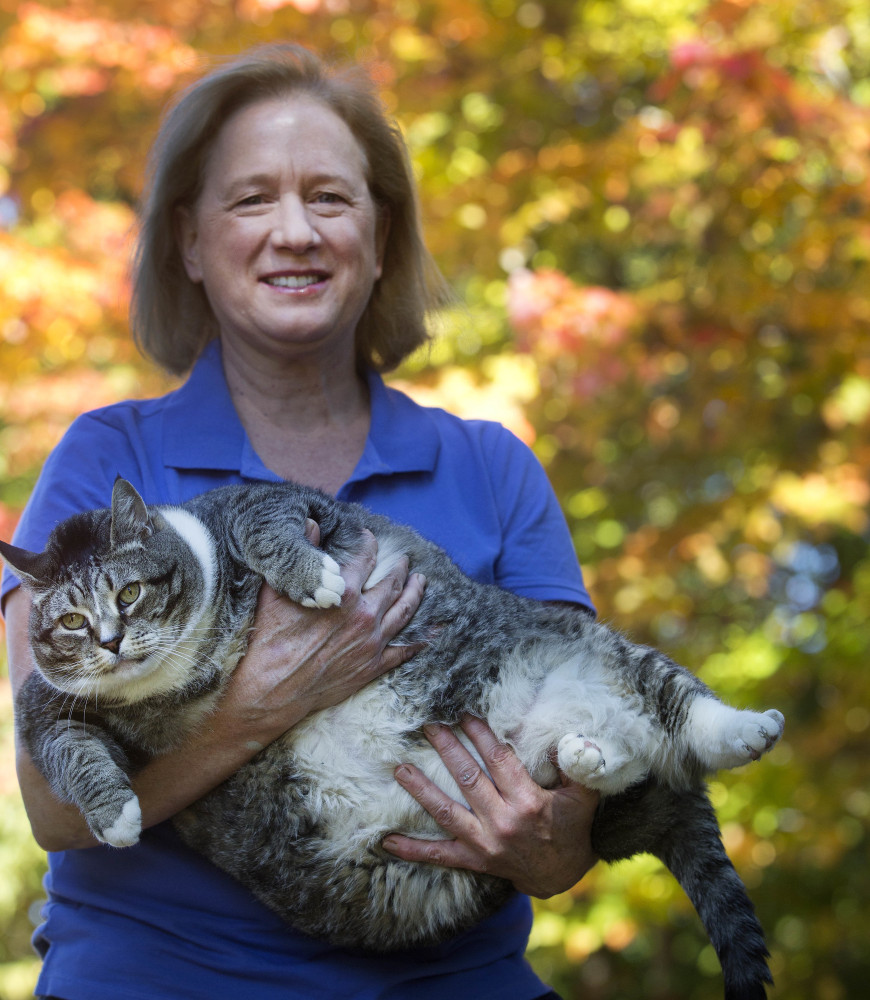 Susan Brunvand holds onto Logan, her 31-pound cat. The cat has been winning over hotel guests and recently internet viewers.