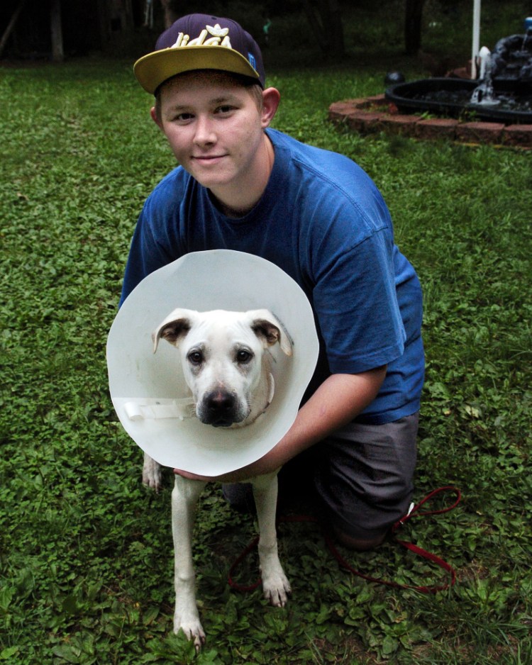 Shane Pottle holds his dog, Tucker, who is wearing a collar to prevent him from injuring his mending broken leg Wednesday after a car crash three weeks ago. Tucker ran off from the crash site on U.S. Route 201 in Madison. Pottle and his mother found him last week with help from Maine Lost Dog Recovery.
