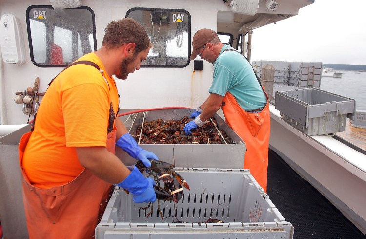 Vincent Barbato, left, and Francis Hardy transfer lobsters to crates while offloading the catch at Greenhead Lobster in Stonington on Thursday. The lobster council for Maine's Zone C, which includes the waters off Stonington, voted Thursday night to close the zone to new licensees.
Gregory Rec/Staff Photographer