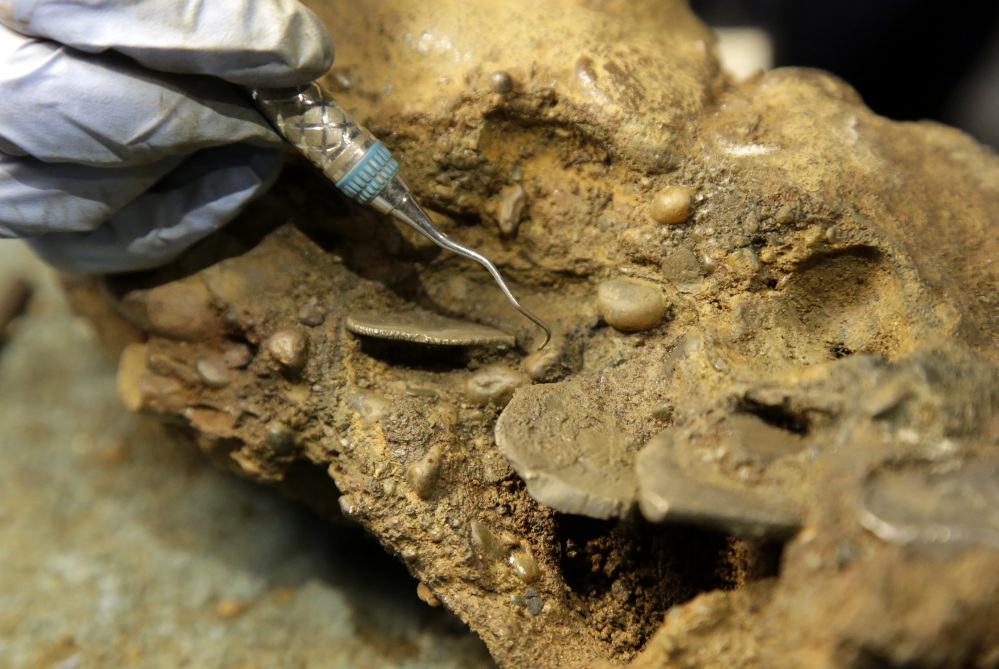 Archaeologist Marie Kesten Zahn of Yarmouth, Mass., works to remove silver coins from a concretion recovered from the wreckage of the pirate ship Whydah Gally at the Whydah Pirate Museum in Yarmouth, Mass. Undersea explorer Barry Clifford, who discovered the Whydah Gally, the first authenticated pirate shipwreck in U.S. waters, says he's finally found where the ship's vaunted treasure lies after more than 30 years of poking around the murky waters off Cape Cod. The concretion is the dense mass of mineral particles formed between the metallic coins over time in the ocean.