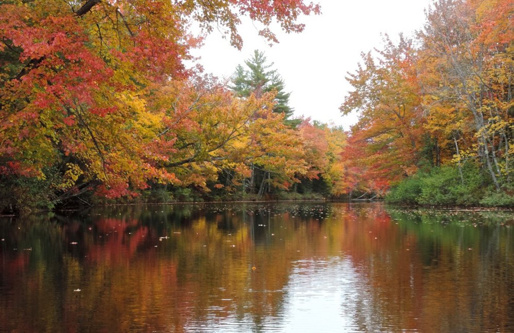 In autumn, escapades via canoe are rewarded with a cascade of colors, such as this brilliant foliage along the Sheepscot River just north of Sheepscot Pond in Palermo.