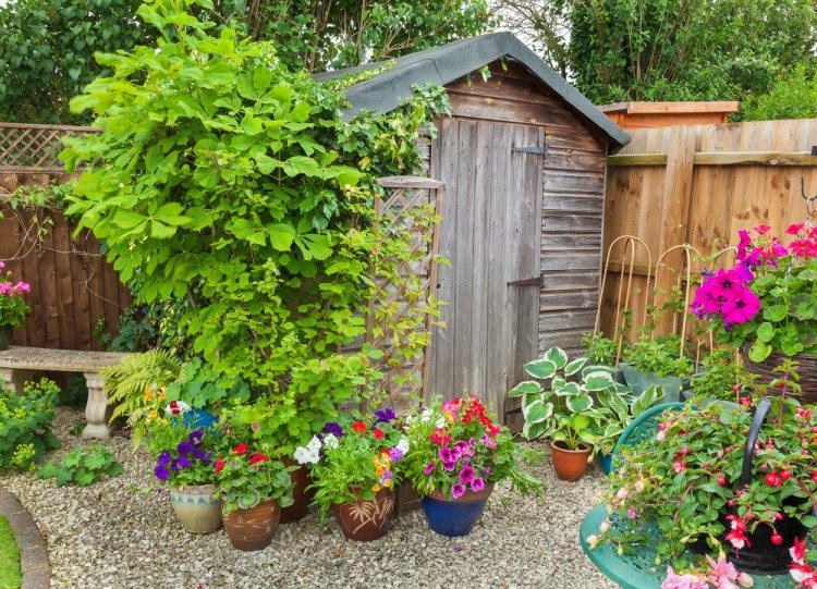 A shed can be a practical and aesthetically pleasing addition to a garden.