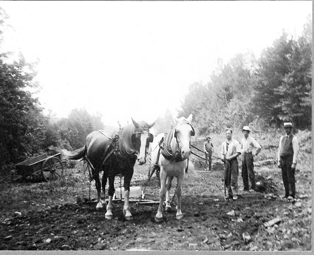 Taken September/October 1916 during the building of the 1.4-mile extension from Bearces Mill to Gray Farm on The SR&RL Railroad Madrid Branch. Leon Hinkley is driving the team of horses, Roadmaster Walter Toothaker is on the right. Today Gray Farm is known as Smalls Falls and the picnic area was the railroad's large pulp loading area.