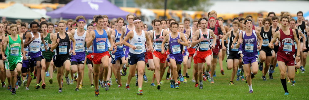 The boys race takes off from the starting line at the Festival of Champions Saturday in Belfast.