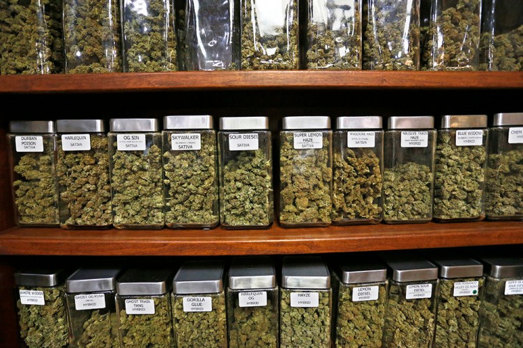 Containers display varieties of marijuana for sale at The Station, a retail and medical cannabis dispensary in Boulder, Colorado. A new report finds that marijuana is already pulling in tax revenue at three times the rate of Colorado's alcohol industry. <em>Associated Press/Brennan Linsley</em>