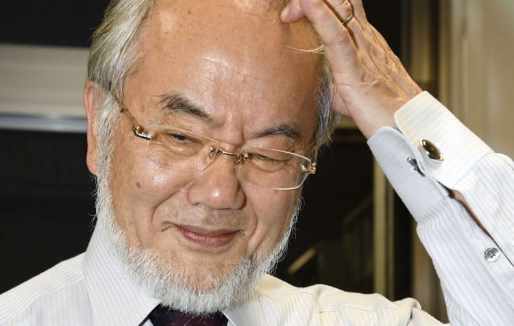 Yoshinori Ohsumi: The "human body is always repeating the auto-decomposition process, or cannibalism, and there is a fine balance between formation and decomposition. That's what life is about."