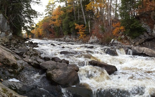 The Presumpscot River Preserve in Portland features 2.5 miles of trails and gives hikers a chance to see Presumpscot Falls up close.