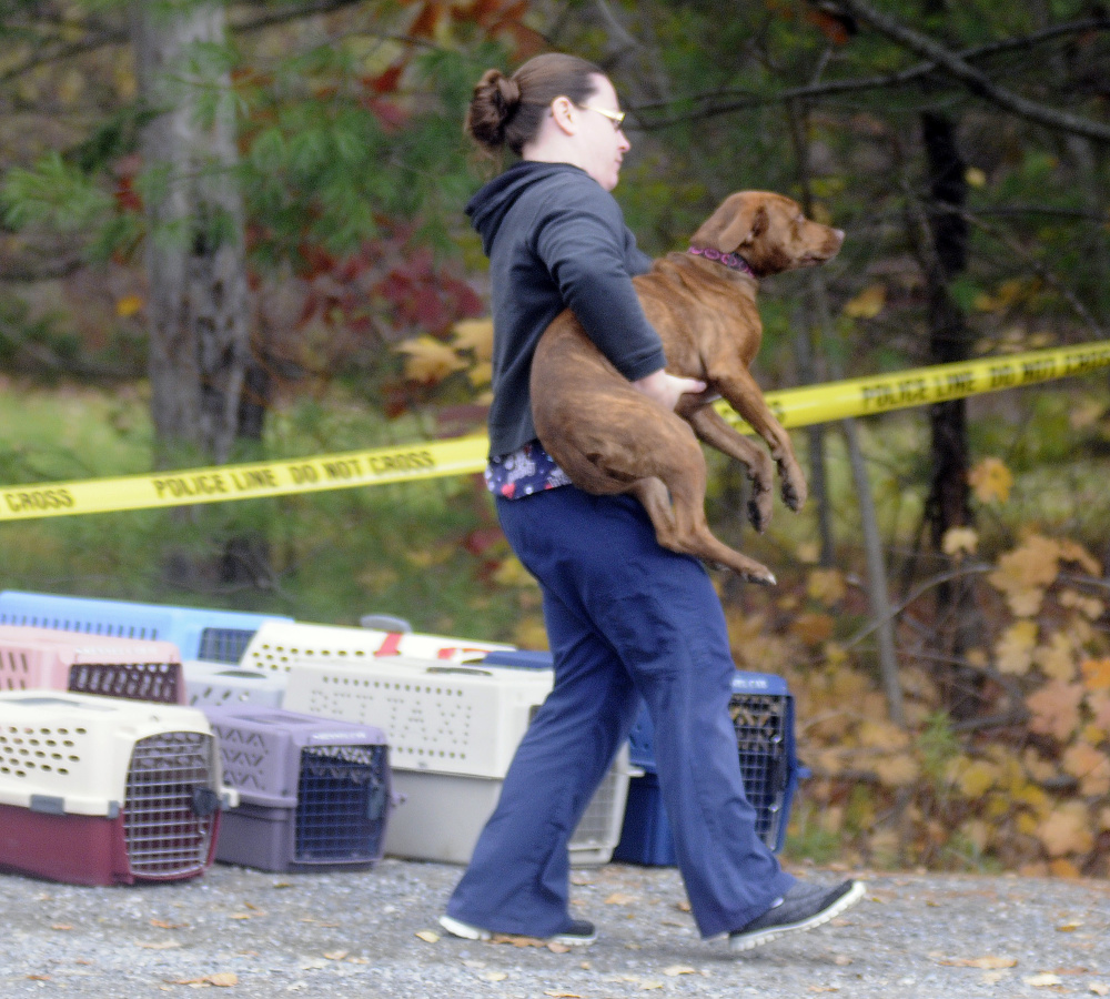 A dog is removed Monday from a Winthrop home where the bodies of Antonio and Alice Balcer, both 47, were found after an early morning 911 call. The Winthrop Veterinary Hospital, where Alice Balcer worked, is caring for pets removed from the home.