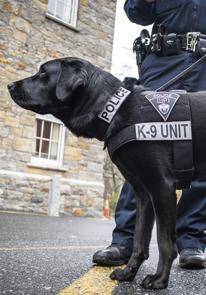 Campus police chiefs say a dog on college grounds helps them respond quickly to a crisis and can improve relationships with students.