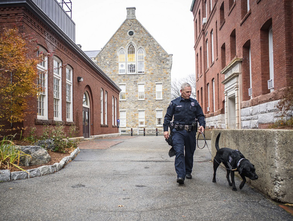Bella, an explosives detection dog at Worcester Polytechnic Institute, is walked by her handler, a police officer, in Worcester, Mass.