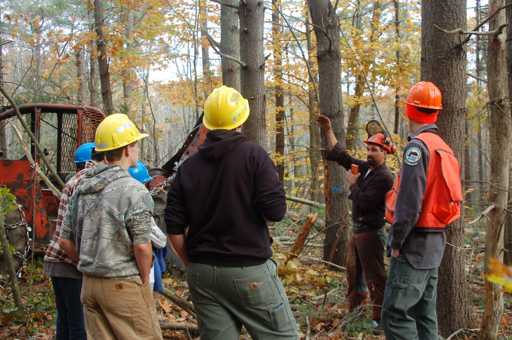 Leeds-based logger Nat Bell talks with students about the safety measures that should be taken when working in the woods.