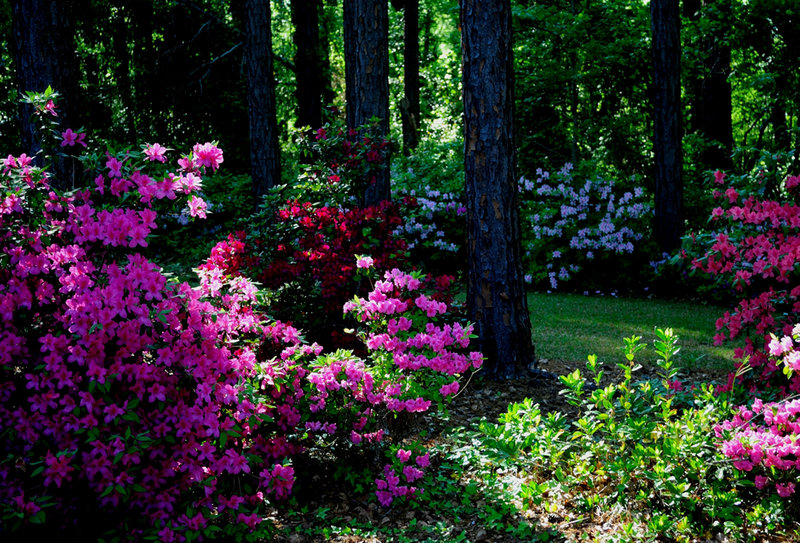 GARDENING