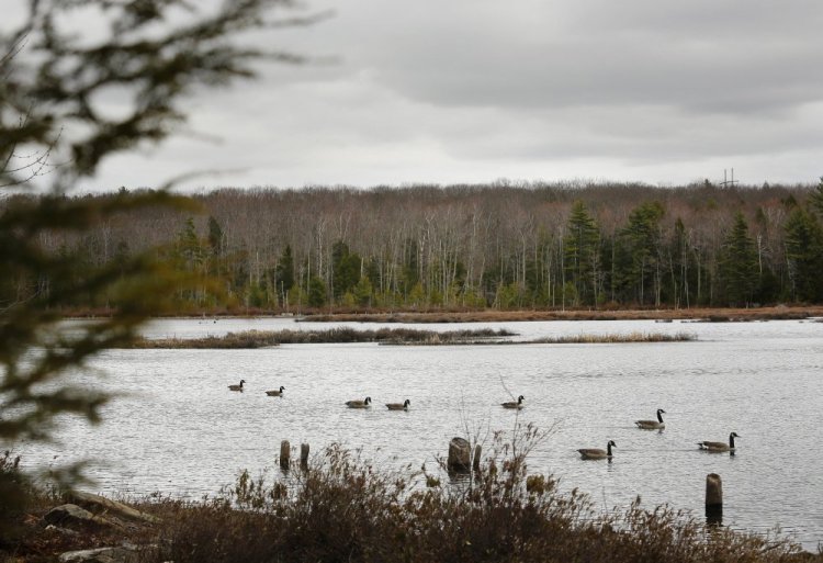 Rep. Michael Timmons of Cumberland was voted out last year, after siding with Gov. LePage in a dispute over conservation bonds that would have helped protect 215 acres around Knight’s Pond in Cumberland and North Yarmouth.