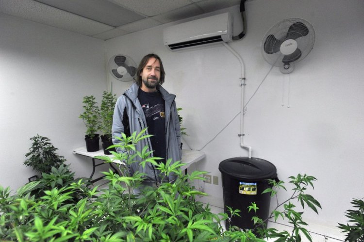 Dawson Julia, a medical marijuana caregiver, stands in a grow room in Unity where a heat pump is connected to a bucket that collects expended water, one of a number of sustainability practices employed at East Coast CBDs.