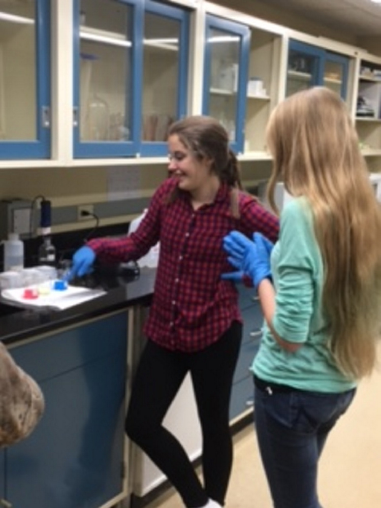 Forest Hills Consolidated School eighth graders Alexis Campbell, left, and Taylor Fountaine, ran water tests such as pH, temperature and residual chlorine during Jackman Water District's open house.
