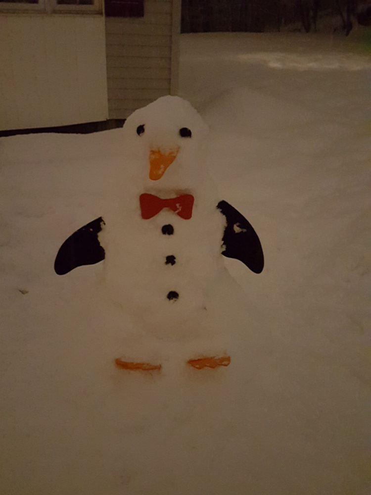 CAP.cutline_standalone:Shelly Couture, of Augusta, decided during the Dec. 30 snowstorm, that because it was snowing so fast, she couldn't keep up with the shoveling and put the shovel down and built a snow penguin.