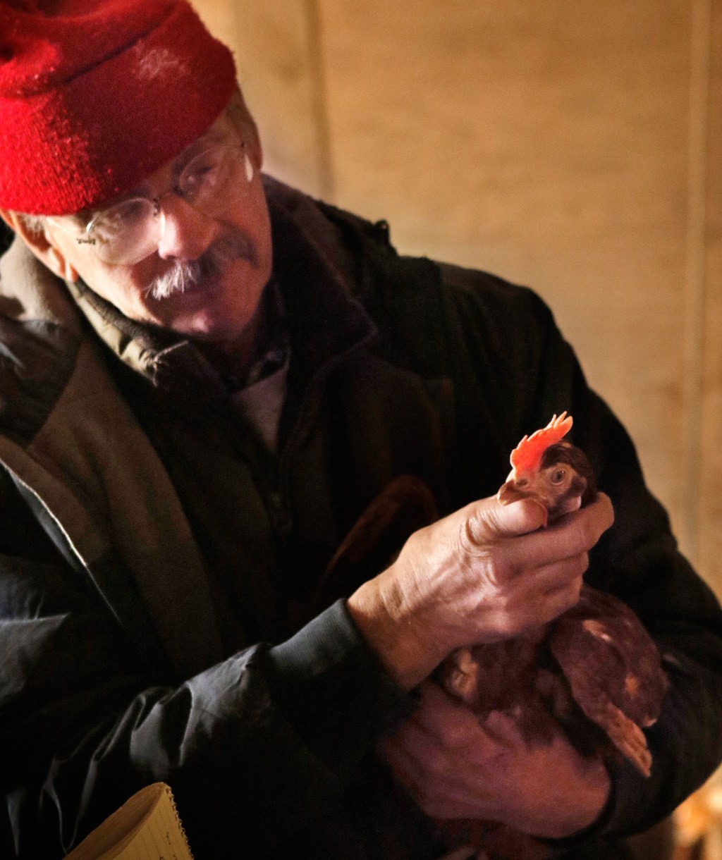 Bowden’s Egg Farm in Waldoboro Kennebec Journal and Morning Sentinel