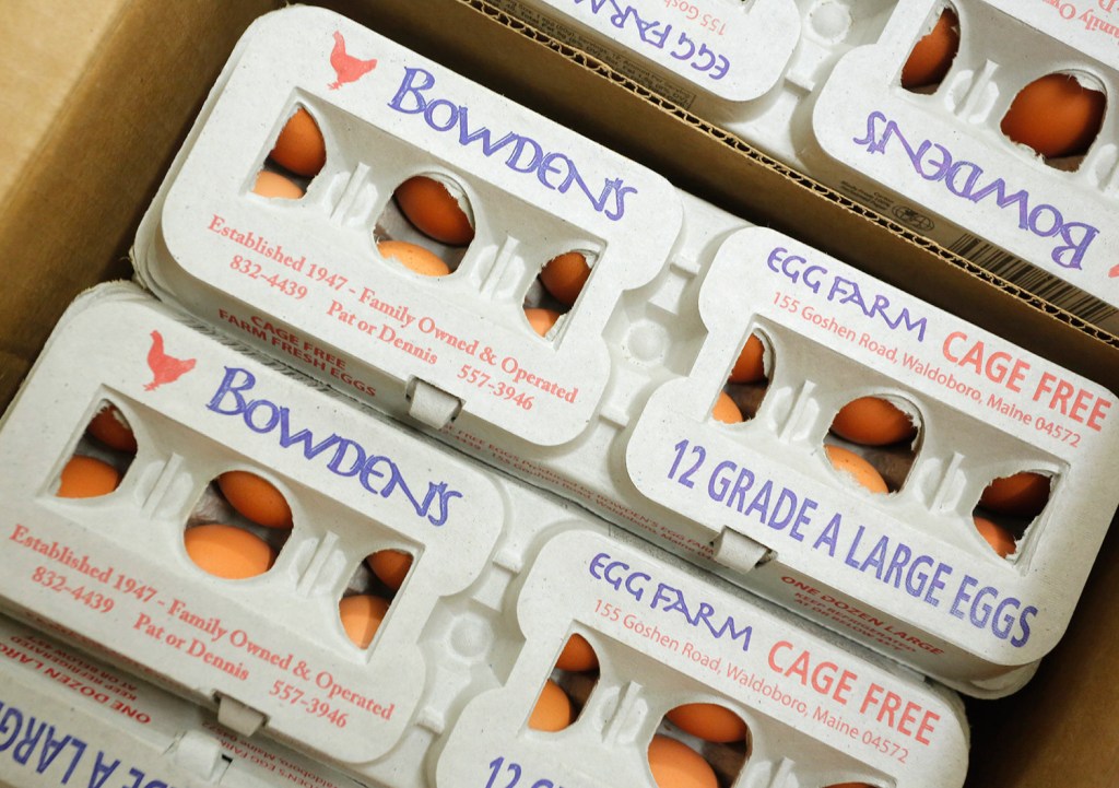 Bowden’s Egg Farm in Waldoboro Kennebec Journal and Morning Sentinel
